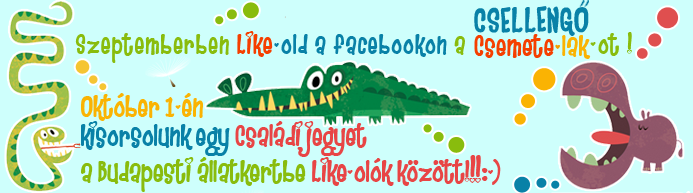 csellengo csemete-lak családi bölcsődevel állakertbe